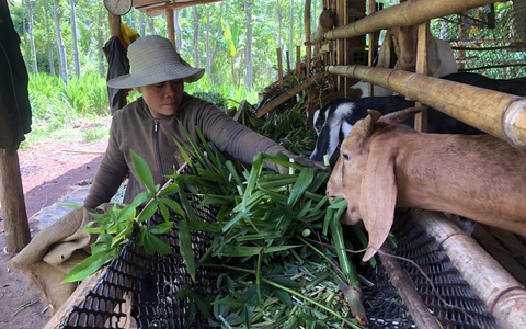 Hỗ trợ vốn không lãi suất cho 40 hộ nông dân khó khăn ở Đồng Nai