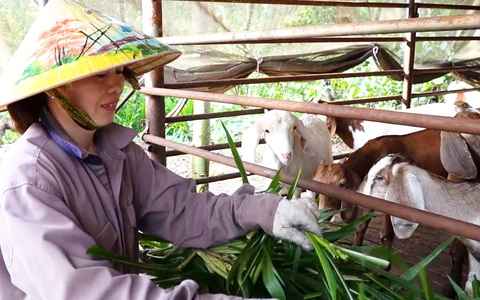 Có vốn sẽ có lối đi