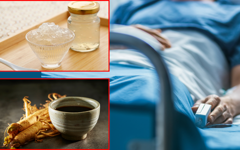 Tổ yến và sâm có tốt cho bệnh nhân ung thư không?