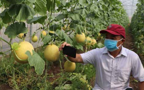 Đồng Nai đột phá trong đầu tư nông nghiệp công nghệ cao