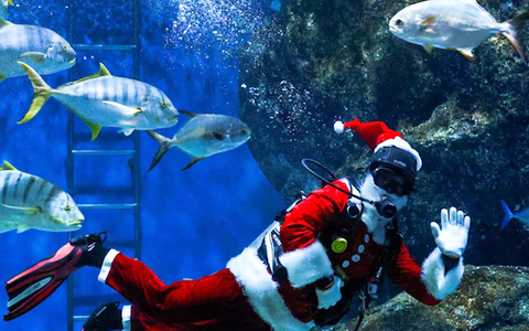 Cùng ngắm những ông già Noel đầy hài hước và sinh động