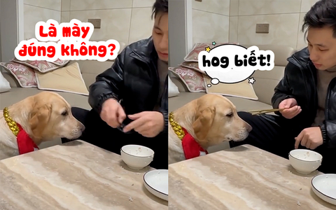Chú chó không cưỡng lại được cơn đói khi sen bắt canh cục xương