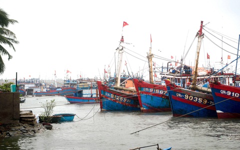 Hàng chục tàu cá Quảng Nam bị ‘ách’ tiền hỗ trợ bám biển