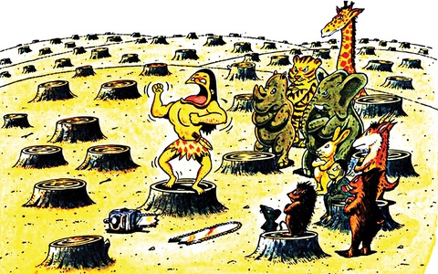 Cổ tích buồn về… Tarzan thế kỷ 21