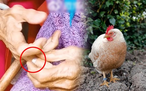 Dòng chữ trên chiếc 'nhẫn quý' của cụ bà hé lộ nguồn gốc thật sự