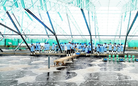 Nghề nuôi biển: Cần giao biển cho dân