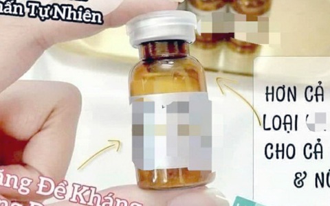Loạn thị trường tế bào gốc