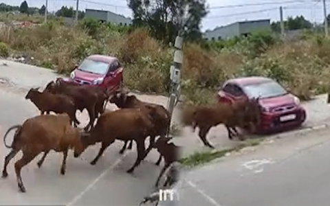 ‘Lamborghini’ đánh nhau, KIA Morning chịu đòn