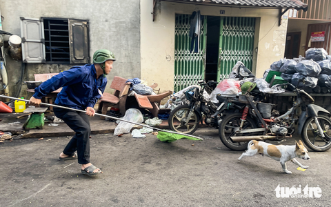 Chó thả rông không đeo rọ mõm, trách nhiệm địa phương hay cơ quan thú y?