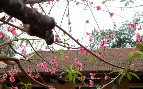 Nước mắt ngày trở về