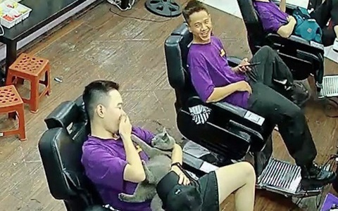 Cười người hôm trước, hôm sau mèo cào