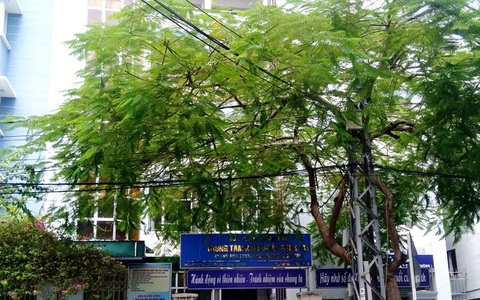 Khánh Hòa chuyển Trung tâm Kiểm soát bệnh tật khỏi TP Nha Trang