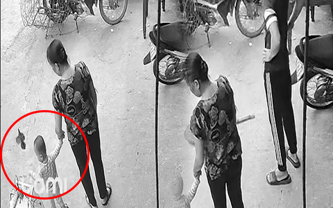 Bố bất lực khi con trai mở cửa cho chim sổ lồng