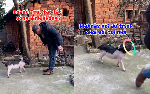 'Lão Trư' làm ông chủ quê một cục