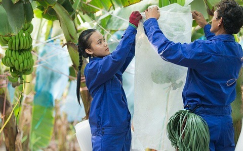 Những ‘đại gia’ đầu tư ra nước ngoài của Việt Nam là ai?