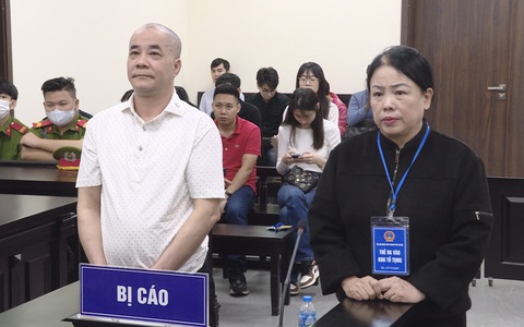 Con trai cựu phó chánh văn phòng Sở TN-MT Hà Nội xin khắc phục thay cha vụ chiếm đoạt đất vàng