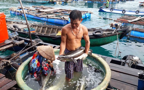 Phát triển nguồn nước sông Mekong, Việt Nam mong muốn các giải pháp cụ thể