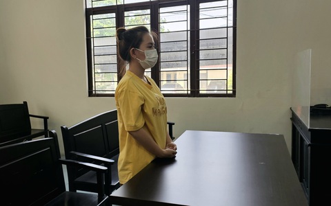 Bảo mẫu làm chết trẻ lãnh 2 năm 6 tháng tù
