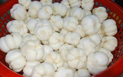Hơn nửa triệu đồng/kg măng cụt sống làm gỏi, muốn mua phải đặt trước