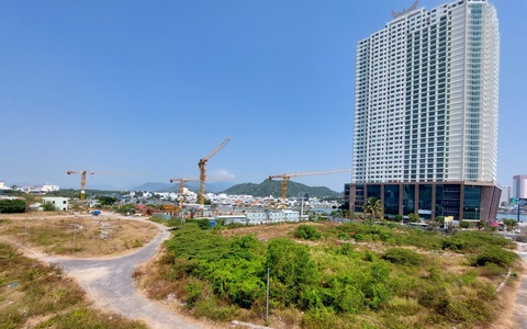 Cựu tổng giám đốc lừa đảo tại dự án Cồn Tân Lập bị tuyên án 18 năm tù