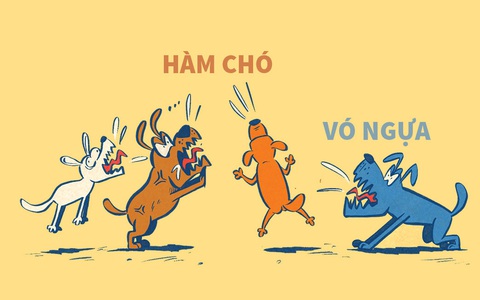 'Hàm chó vó ngựa' và 'nó hiền lắm'