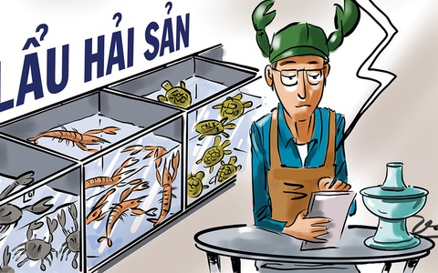 Khảo sát cho thấy sinh viên làm đúng chuyên ngành đào tạo