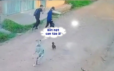 Hai thanh niên hù dọa chó con bị chó mẹ rượt chạy trối chết