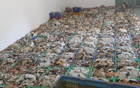 Gần 66.000 hiện vật ở Cà Mau không có nơi trưng bày, xếp chồng trong kho