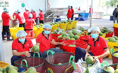 Mời khách đến mua hàng: Chủ động tìm đầu ra cho hàng Việt