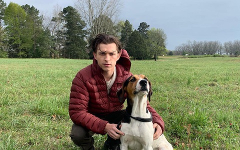 ‘Nhện nhọ’ Tom Holland chán ngán Hollywood