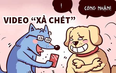 Thực hư chuyện chó 'xả chét' bằng video