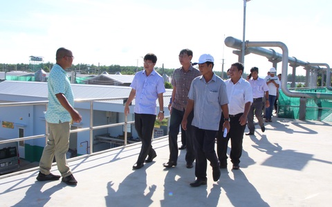 Mùi hôi từ trang trại heo, gà: Có đoàn kiểm tra là làm tốt, đi rồi đâu lại vào đấy