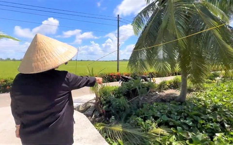 Vợ chạy đến cứu chồng bị điện giật khi hái dừa, cả hai chết thương tâm