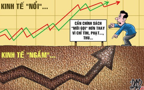 Địa phương nào có kinh tế phi chính thức, kinh tế ngầm lớn nhất nước