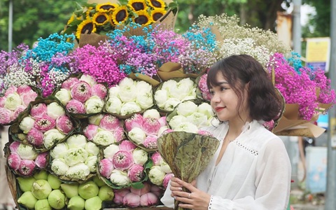 Góc nhìn trưa nay: Xao xuyến với mùa thu Hà Nội