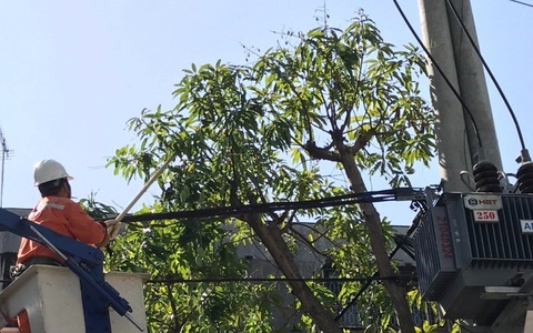 Điện lực Gia Định đảm bảo cấp điện ổn định dịp lễ Quốc khánh 2-9