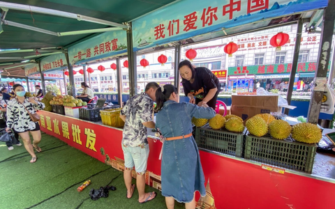 Vận chuyển đường bộ chi phí thấp, sầu riêng Việt lợi thế tại Trung Quốc