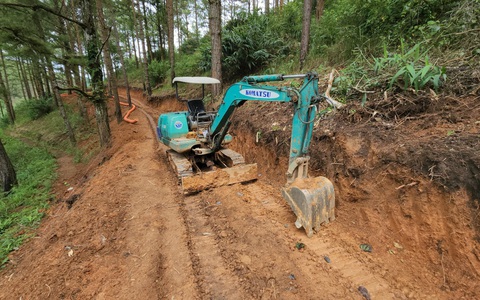 Doanh nghiệp mở đường trái phép vào khu du lịch quốc gia hồ Tuyền Lâm