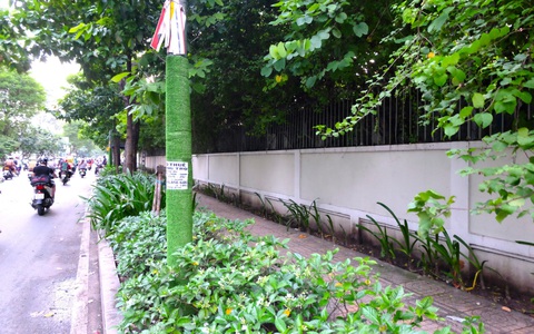Quận 5, TP.HCM tháo cỏ nhựa quấn cột điện