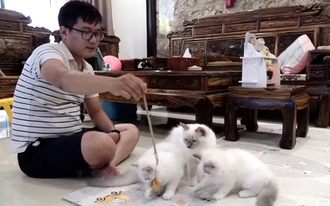 Cuộc thi ‘Lan tỏa năng lượng tích cực 2023’: Hãy yêu thương động vật bằng cả trái tim
