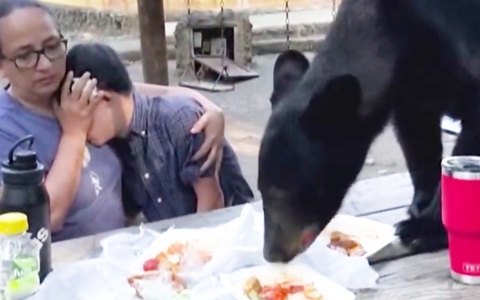 Hai mẹ con ngồi bất động khi chạm trán gấu đen tại tiệc sinh nhật
