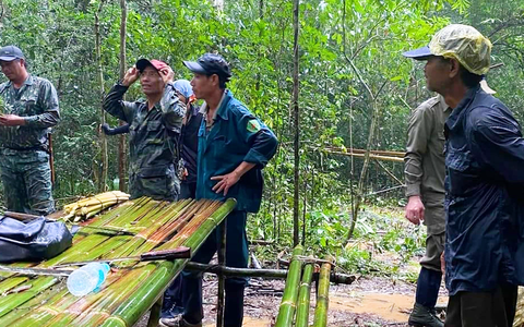 Một người nghi đi lạc trong rừng Cát Tiên: công an, kiểm lâm, quân sự đang dốc sức tìm kiếm