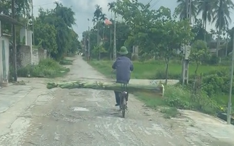 Tài xế ô tô bất lực khi gặp 'người vận chuyển' chở cây chuối