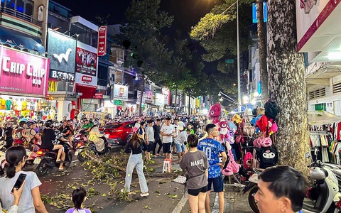 Người đàn ông bị nhánh cây rơi trúng đầu ở quận 5 đã qua đời