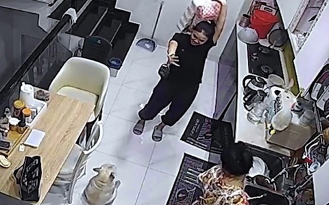 Chú chó ngồi nhún nhảy theo cô chủ siêu dễ thương