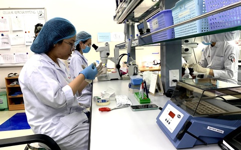 Xếp hạng các trường đại học Việt Nam: 41 xuống hạng, 16 ra khỏi top