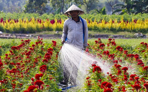 TP.HCM biến bãi rác, dự án 'treo' thành công viên