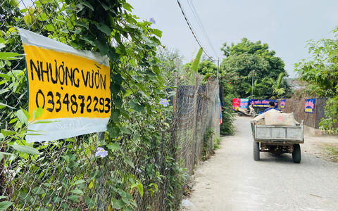 Rao bán trái phép đất vườn giá ‘bạc tỉ’ ở bãi bồi sông Hồng