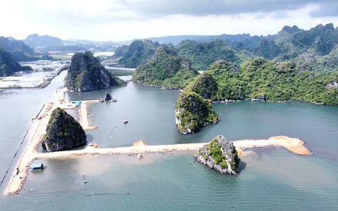 Vụ đô thị lấn vùng đệm vịnh Hạ Long, Bộ Tài nguyên và Môi trường nói gì?