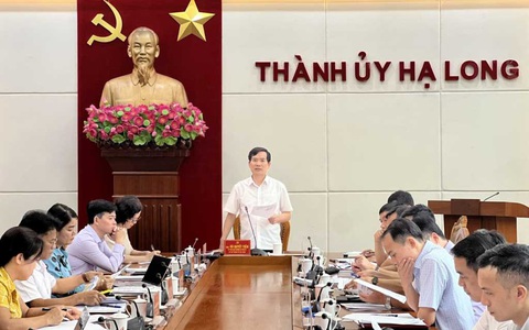 Tạm đình chỉ ngay giám đốc Ban Quản lý dự án đầu tư xây dựng thành phố Hạ Long